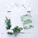 10.webp