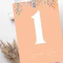 Baby Milestone Cards (Peach Fuzz Edition)