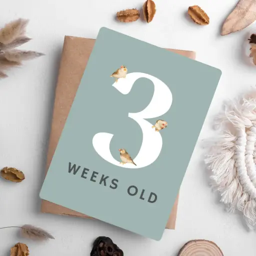 Baby Milestone Cards (Aussie Animal Edition)