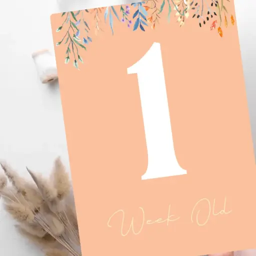 Baby Milestone Cards (Peach Fuzz Edition)